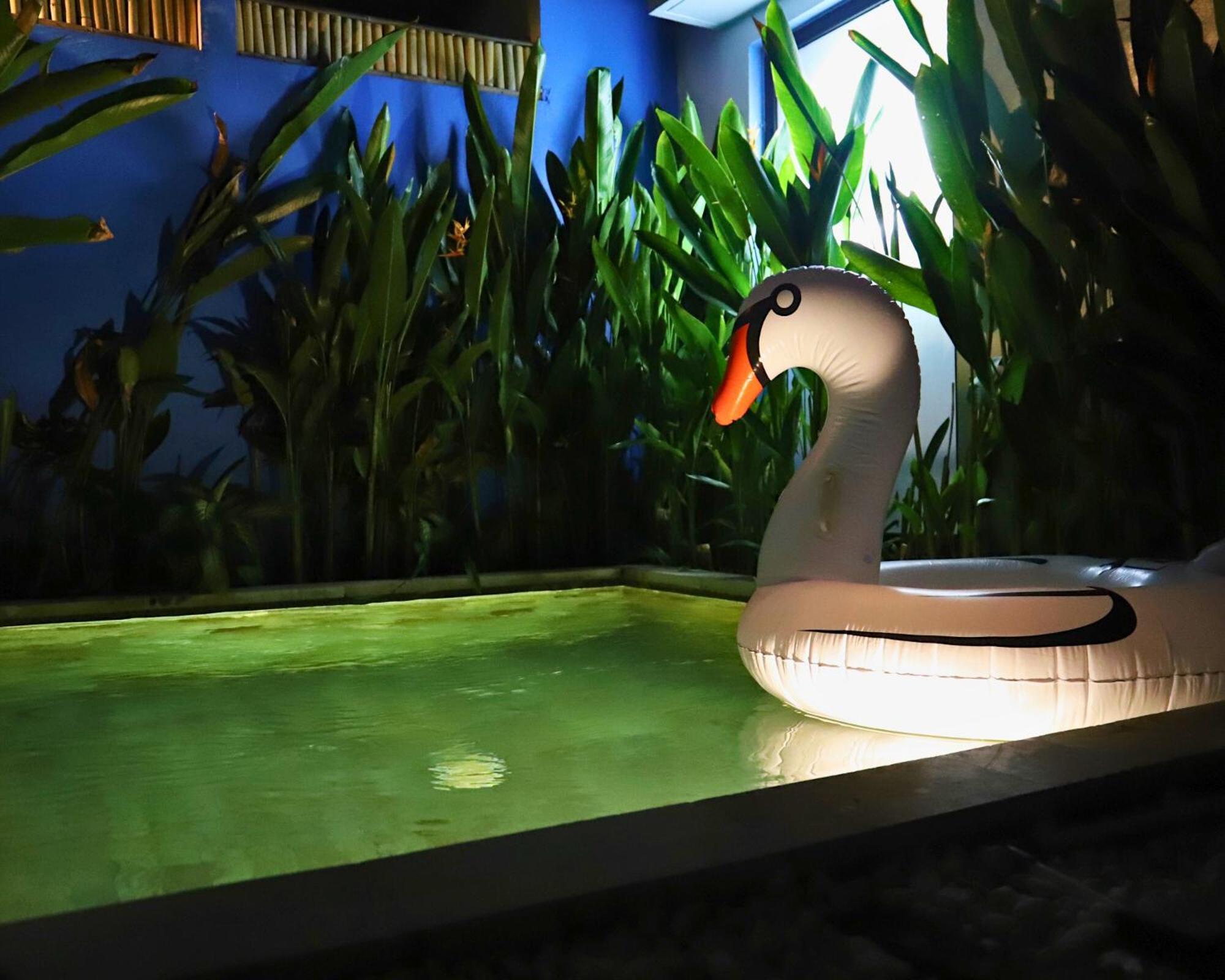 Peacock Private Pool Paradise Dalung  Екстериор снимка