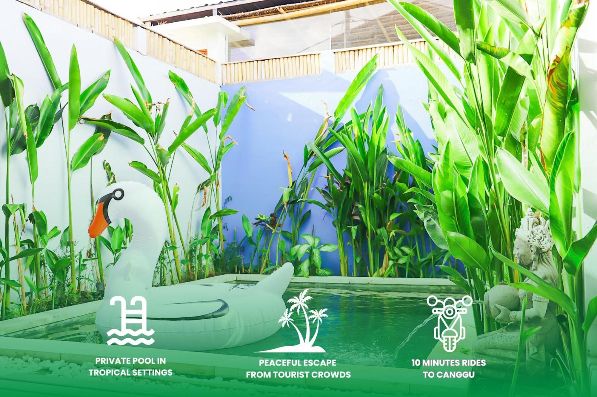 Peacock Private Pool Paradise Dalung  Екстериор снимка
